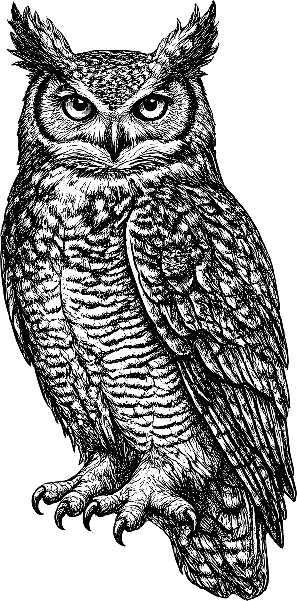 Woodcut illustration of a Great Horned Owl