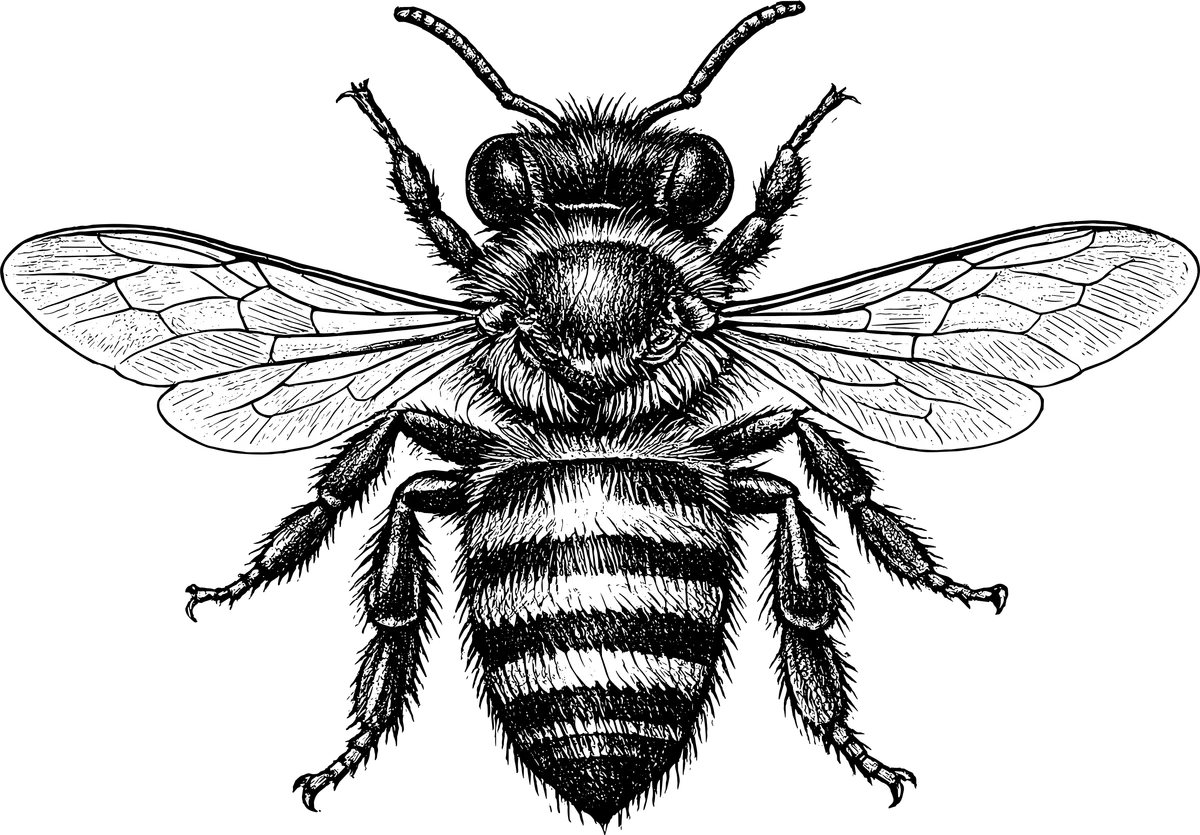 Pollinators