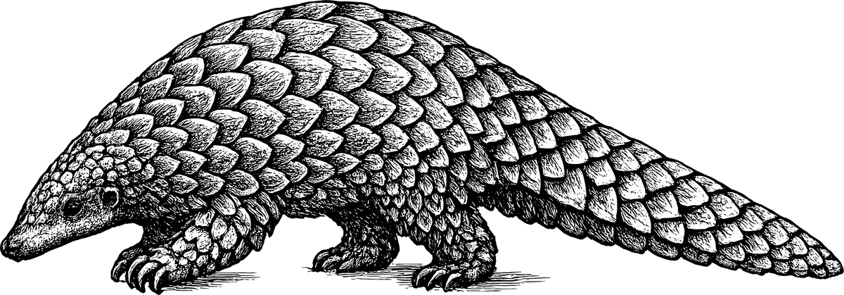Woodcut illustration of a Ground Pangolin