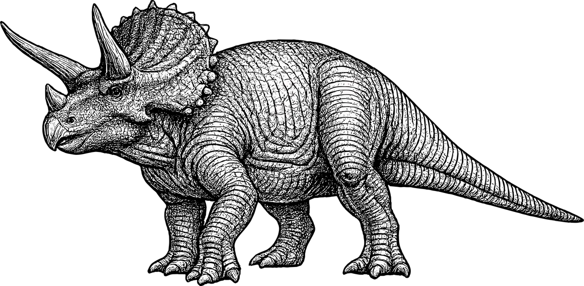 Woodcut illustration of a Triceratops