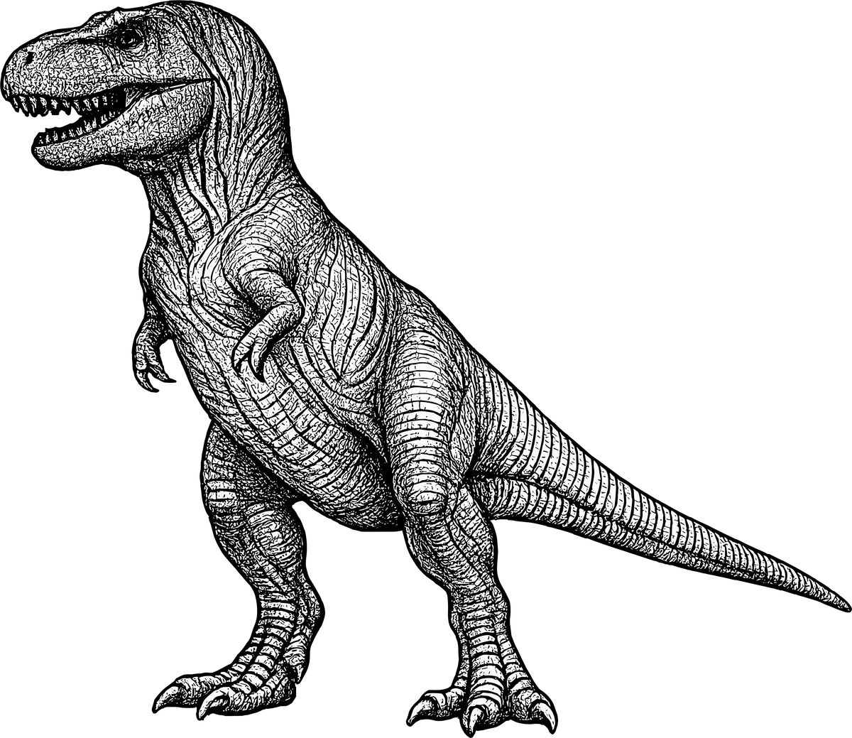 Woodcut illustration of a Tyrannosaurus rex